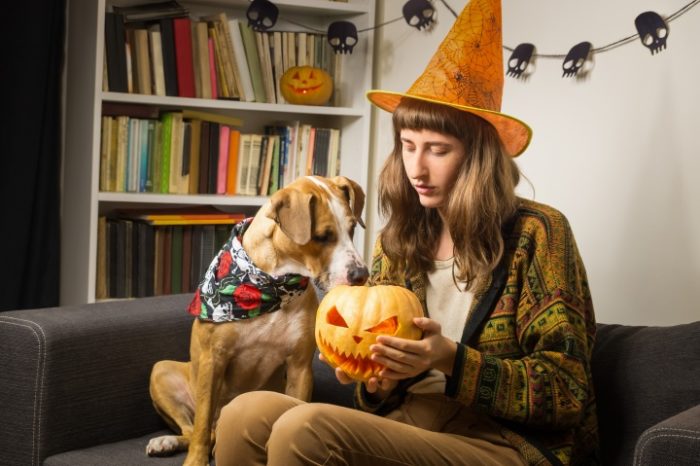 dog and cat safe on Halloween
