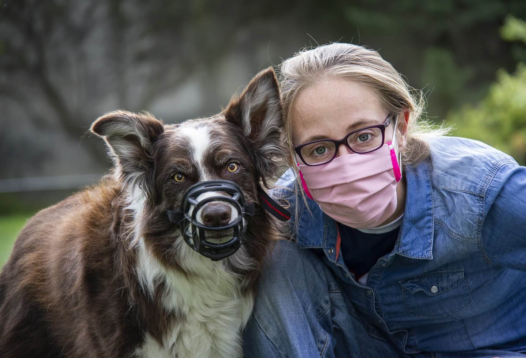 Training a dog to wear a muzzle sale