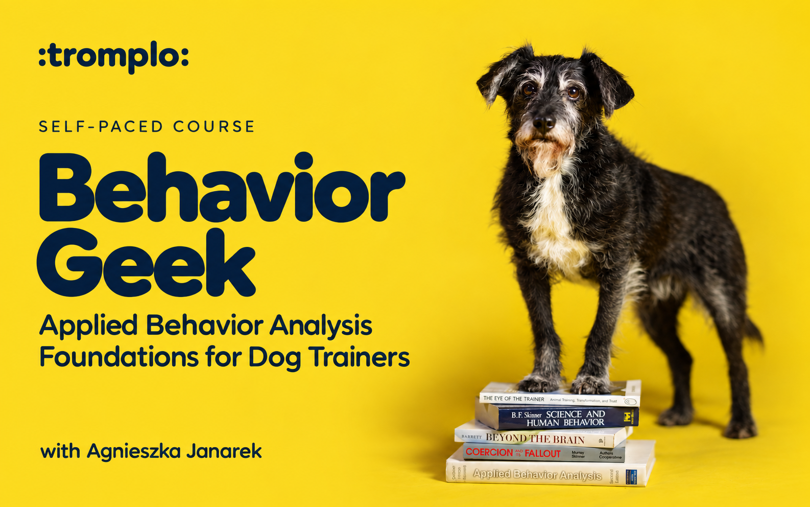 Behavior Geek: Applied Behavior Analysis Foundations for Dog Trainers, with Agnieszka Janarek. A dog with front paws on behavior-analysis books against a yellow background.