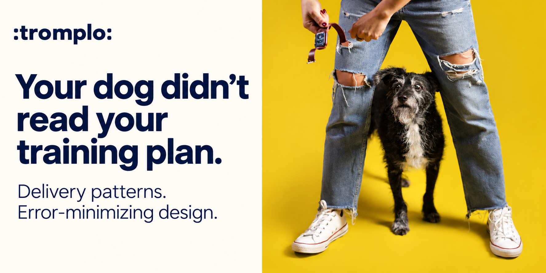 Your dog didn’t read your training plan. Delivery patterns. Error-minimizing design. Agnieszka’s dog against a yellow background.